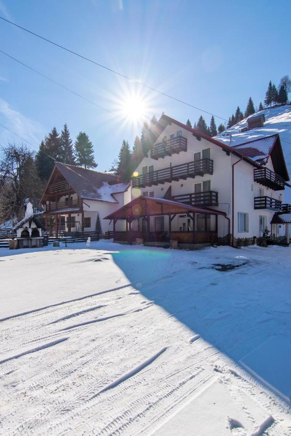 Vila Mesteacanul Моечу де Жос Екстериор снимка